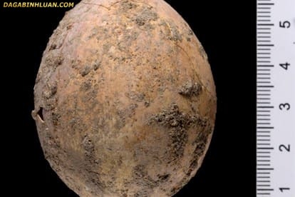 Israel - Vừa tìm thấy quả trứng gà 1000 năm tuổi còn nguyên vẹn