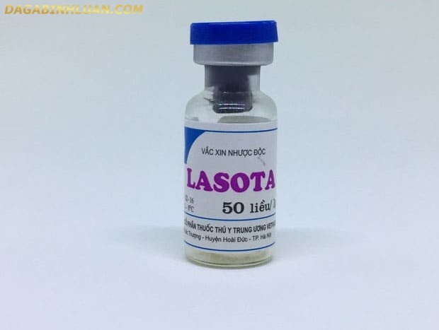 Vacxin lasota nhược độc
