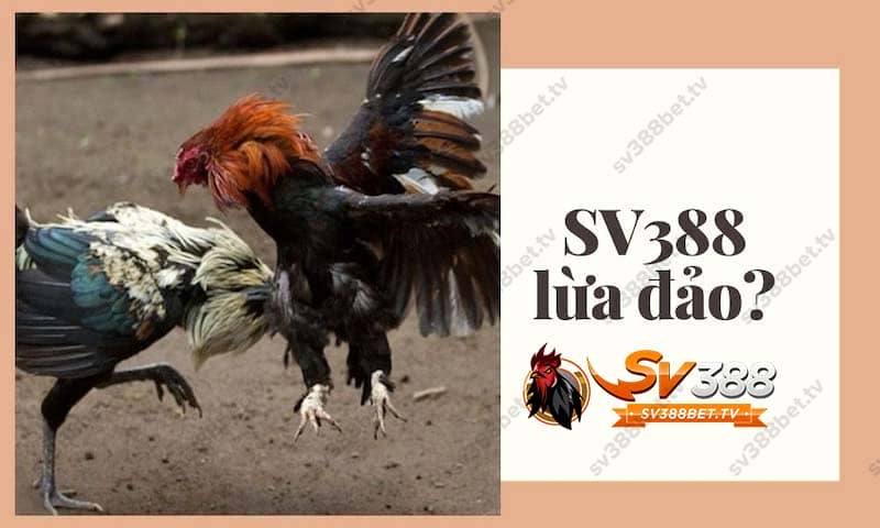 da-ga-sv388-bet